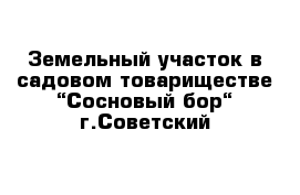 Земельный участок в садовом товариществе “Сосновый бор“ г.Советский 